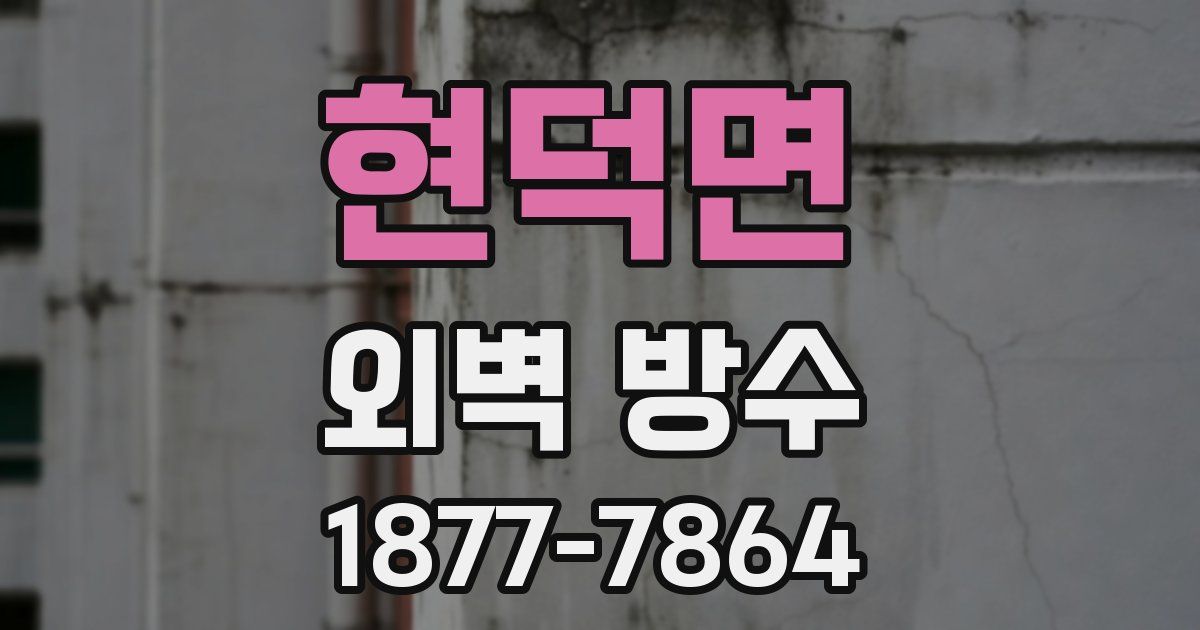 현덕면 외벽 방수
