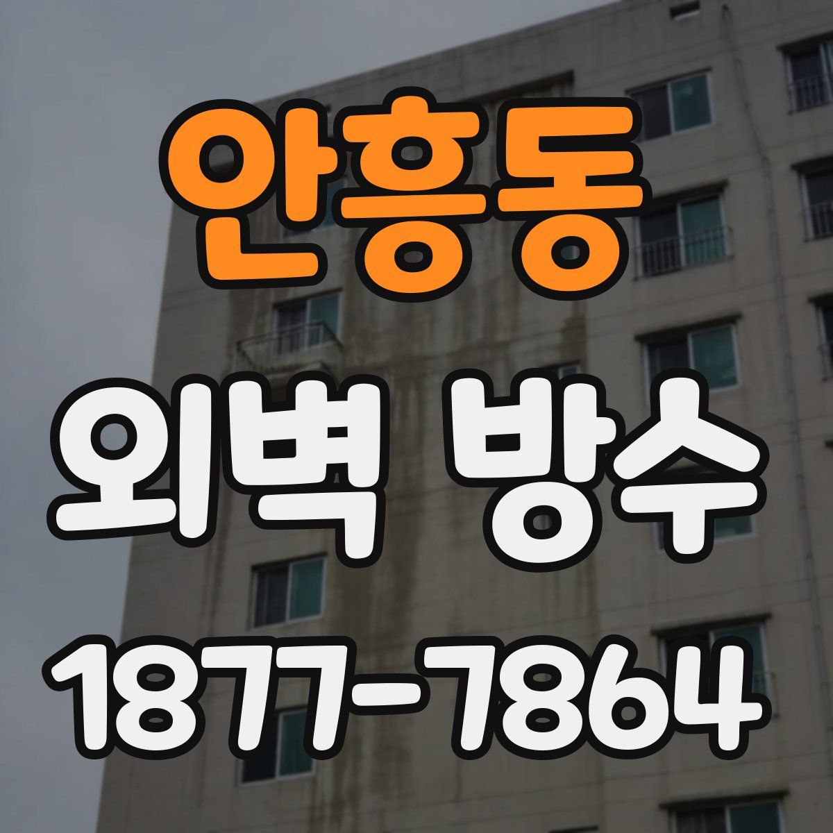 안흥동 외벽 방수