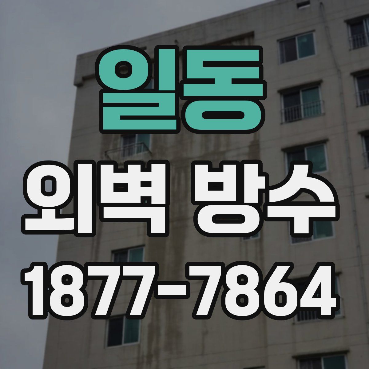 일동 외벽 방수