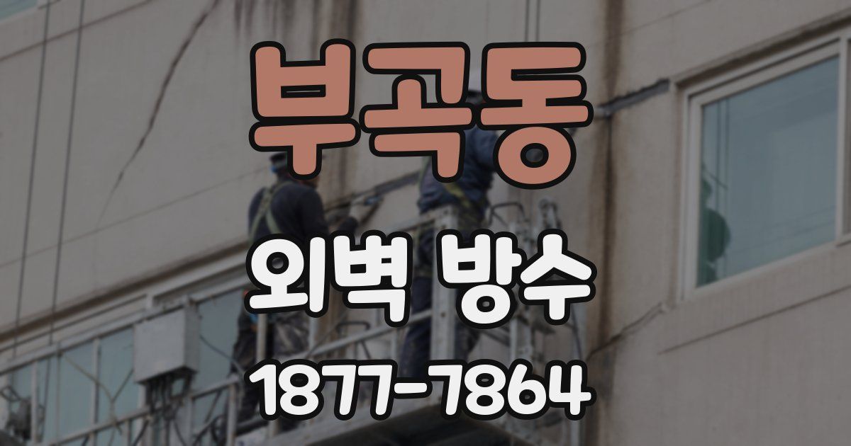 부곡동 외벽 방수