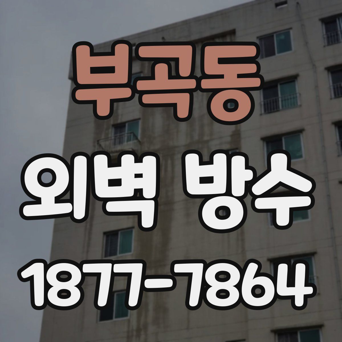 부곡동 외벽 방수