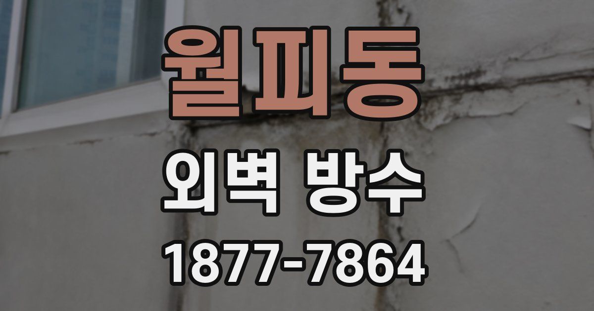 월피동 외벽 방수