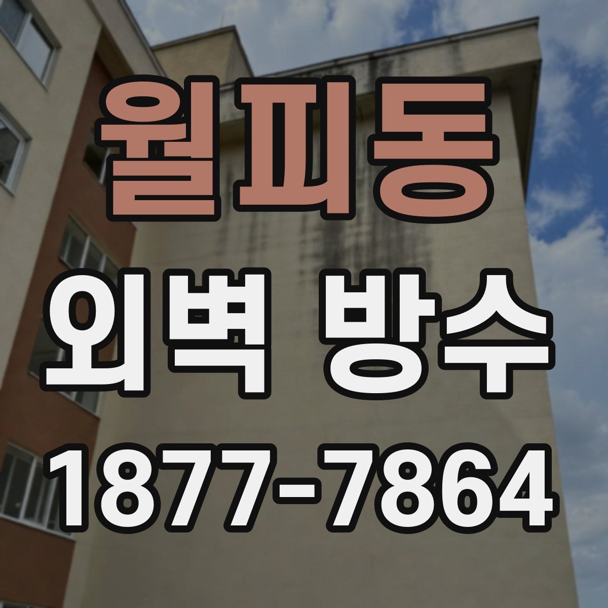 월피동 외벽 방수