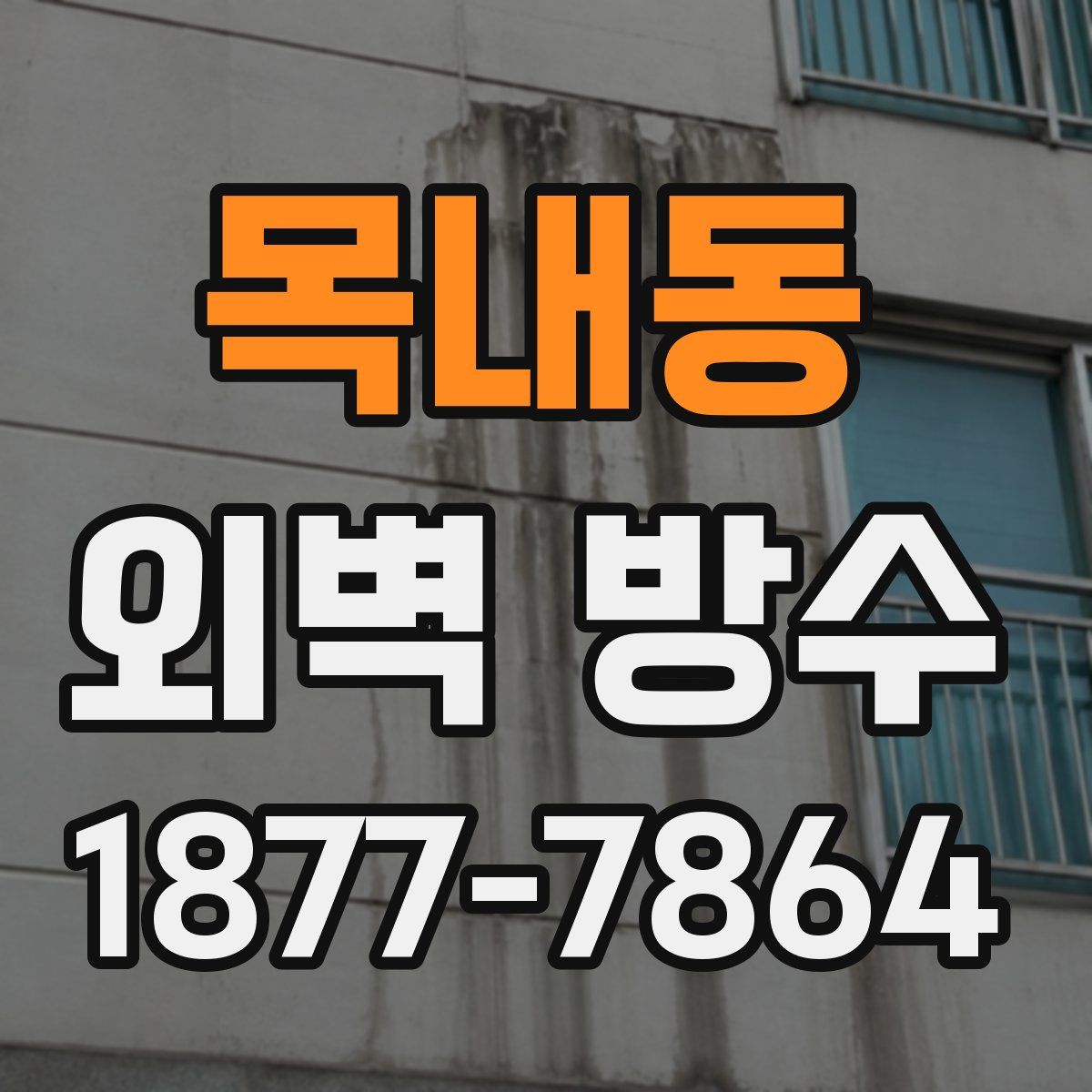 목내동 외벽 방수