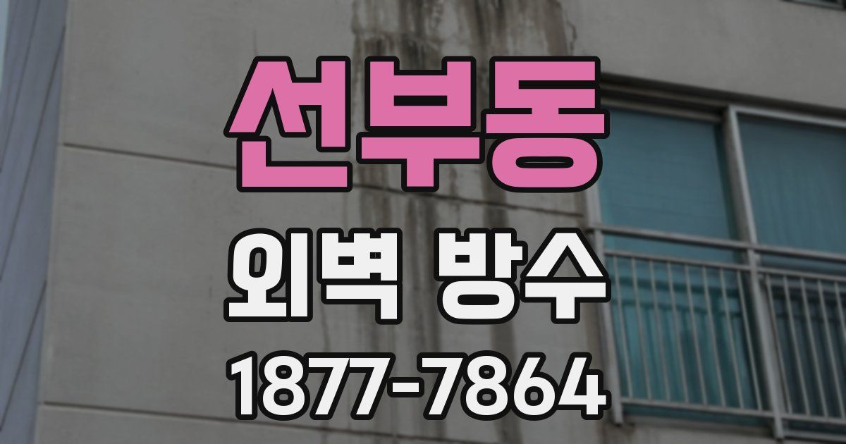 선부동 외벽 방수