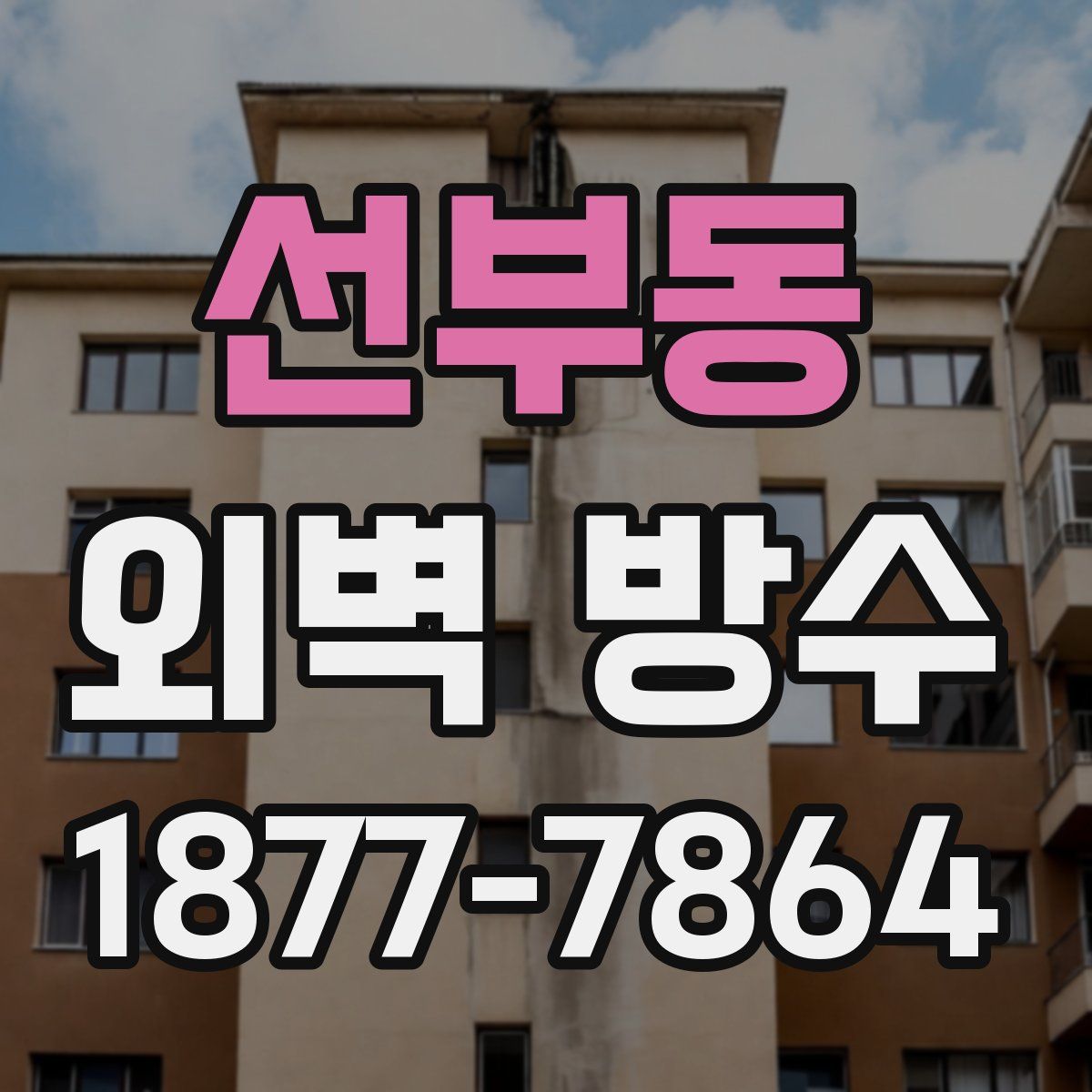 선부동 외벽 방수