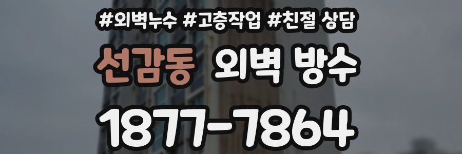 선감동 외벽 방수