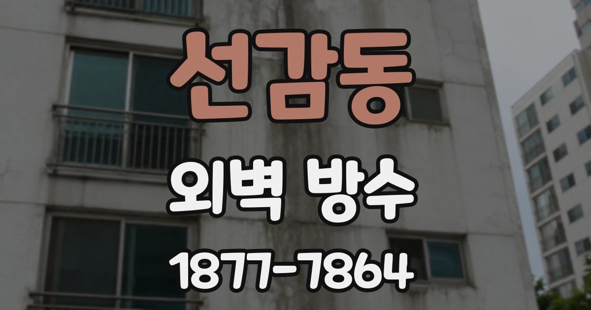 선감동 외벽 방수