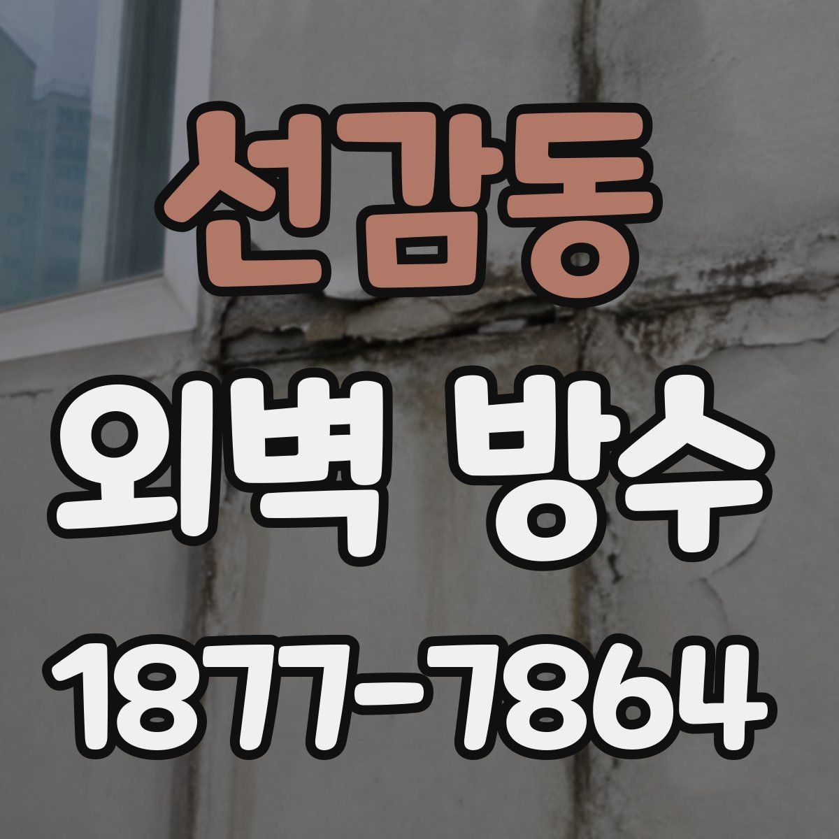 선감동 외벽 방수