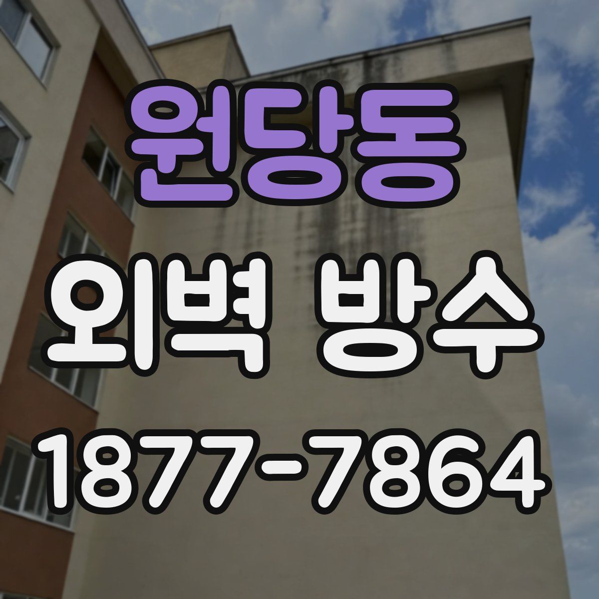 원당동 외벽 방수