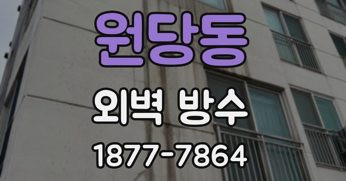 원당동 외벽 방수