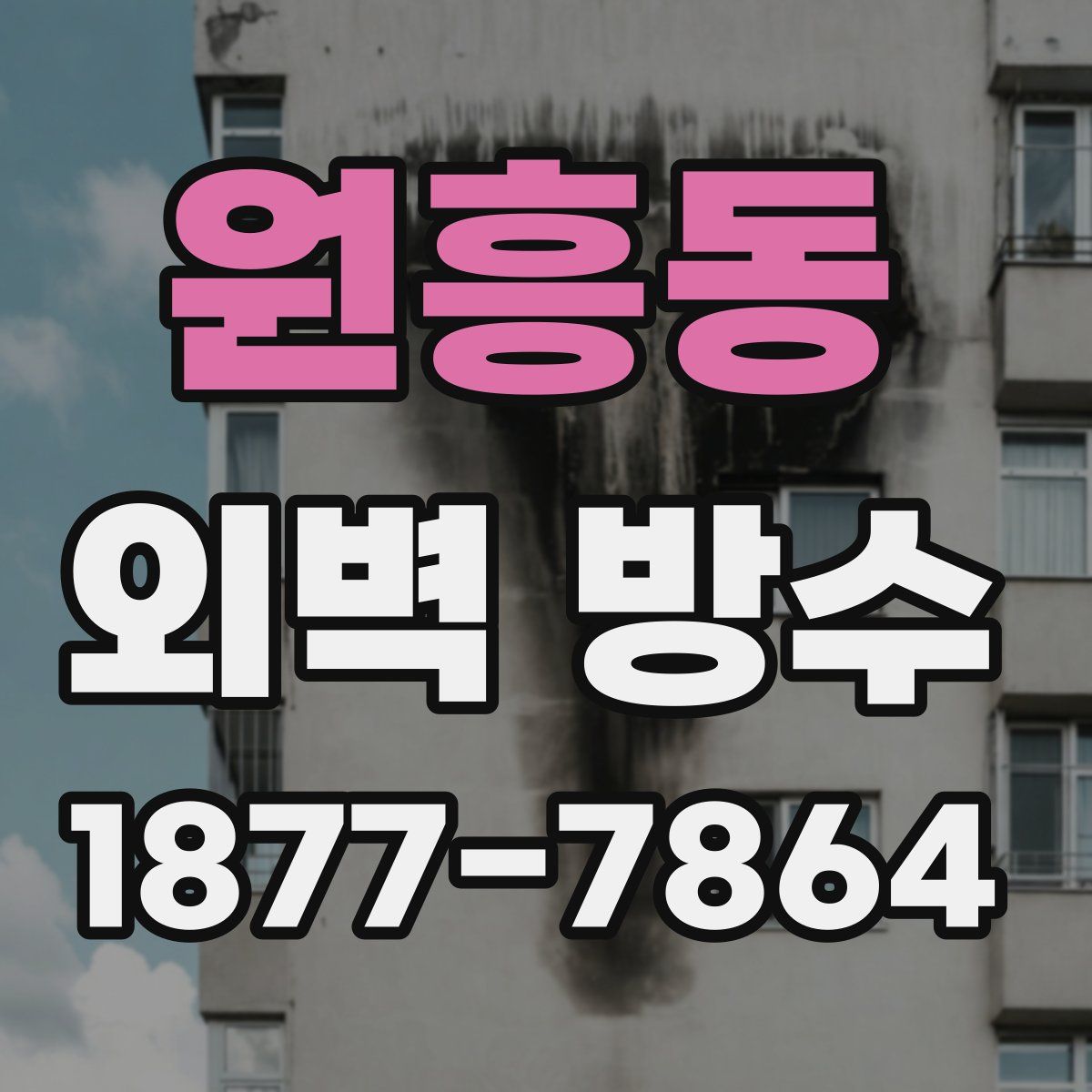 원흥동 외벽 방수