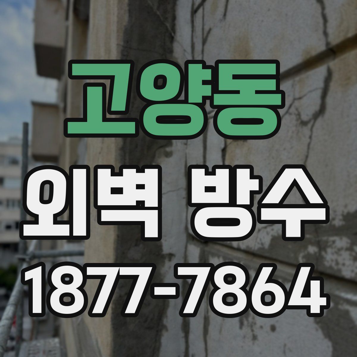 고양동 외벽 방수