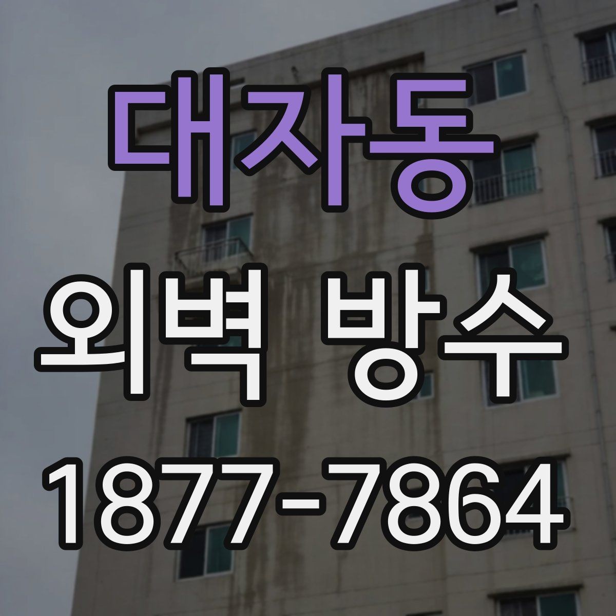 대자동 외벽 방수 문제를 미리 발견하는 방법