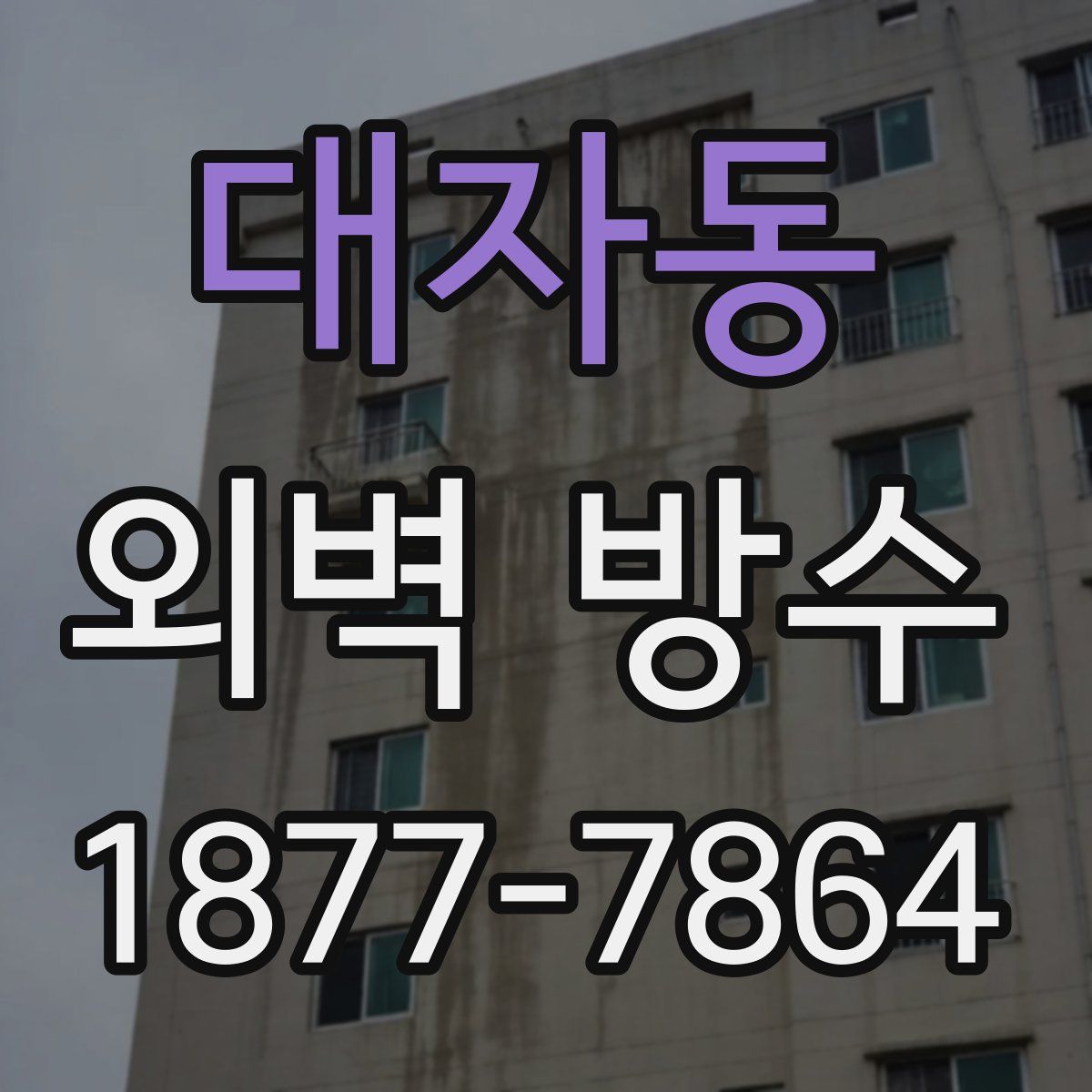 대자동 외벽 방수