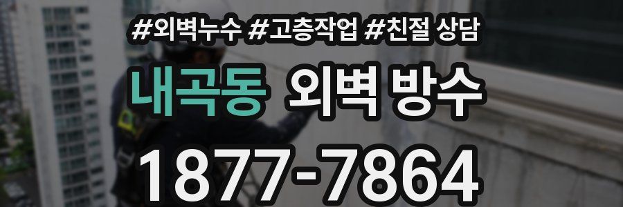 내곡동 외벽 방수