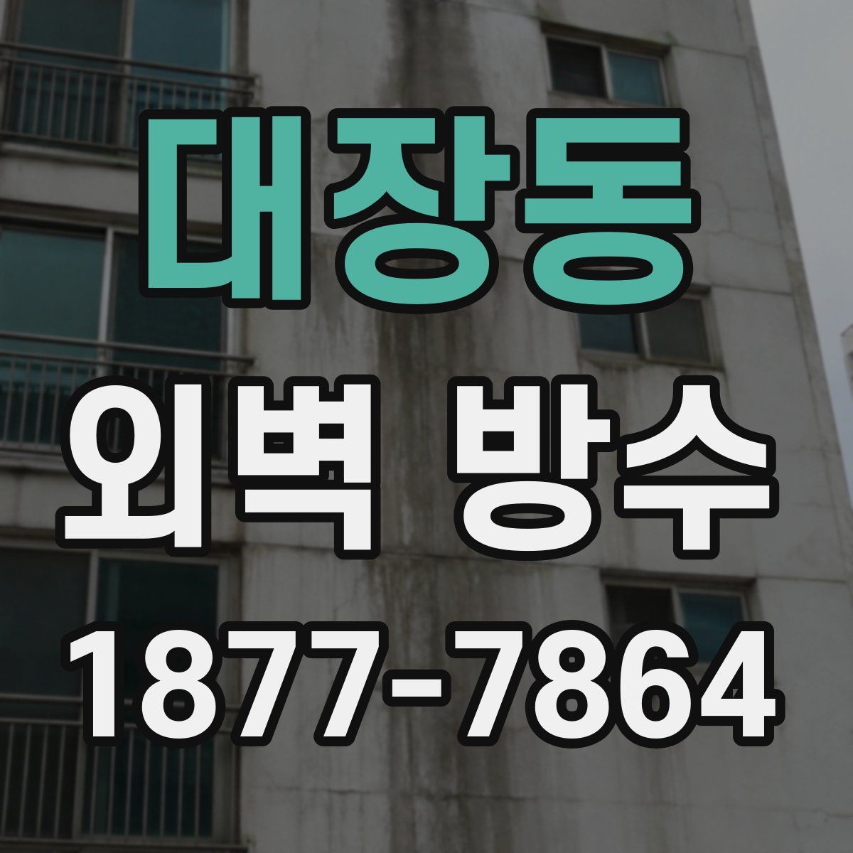 대장동 외벽 방수