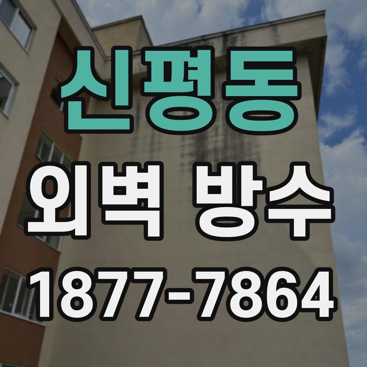 신평동 외벽 방수