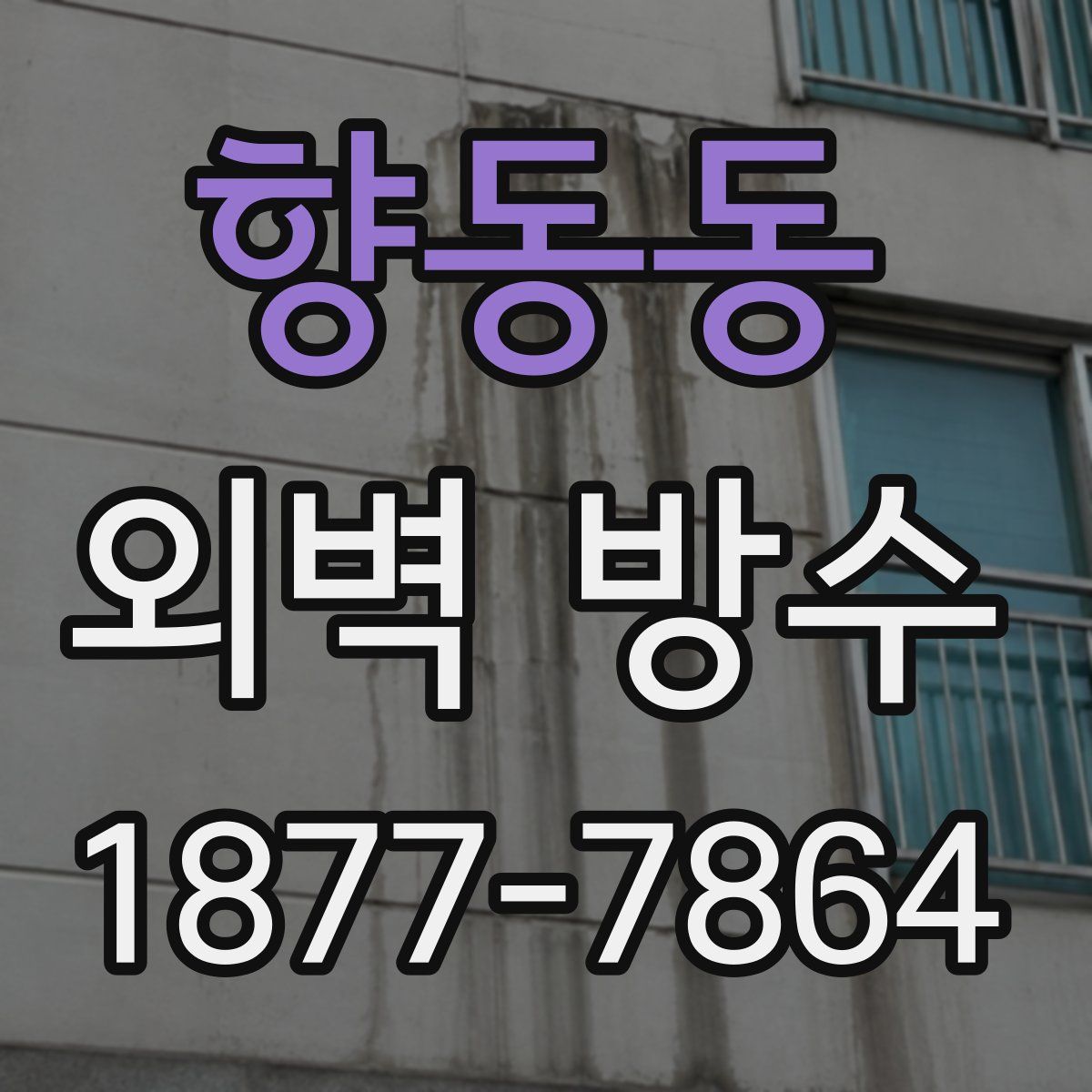 향동동 외벽 방수