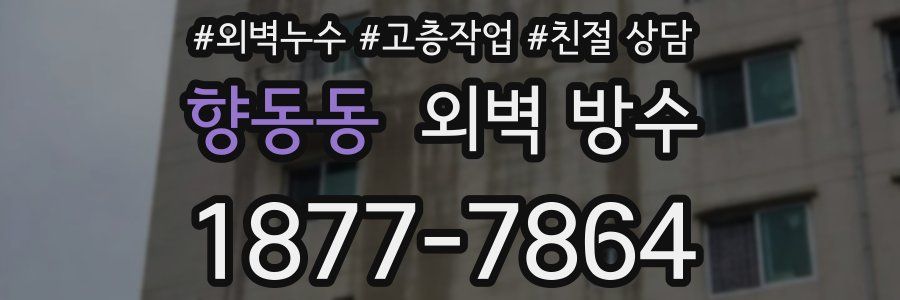 향동동 외벽 방수