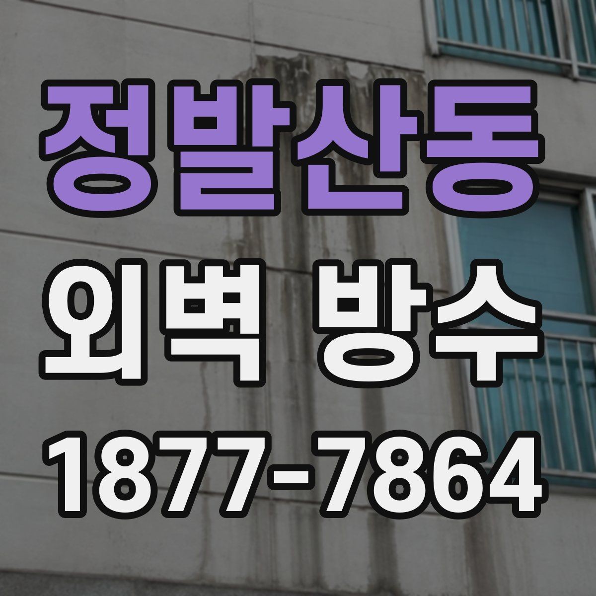 정발산동 외벽 방수 문제를 방치하면 생길 수 있는 일