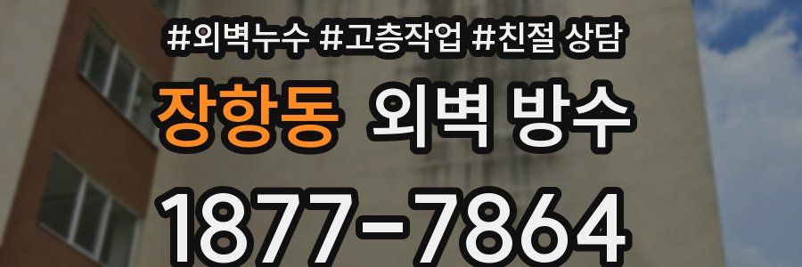 장항동 외벽 방수