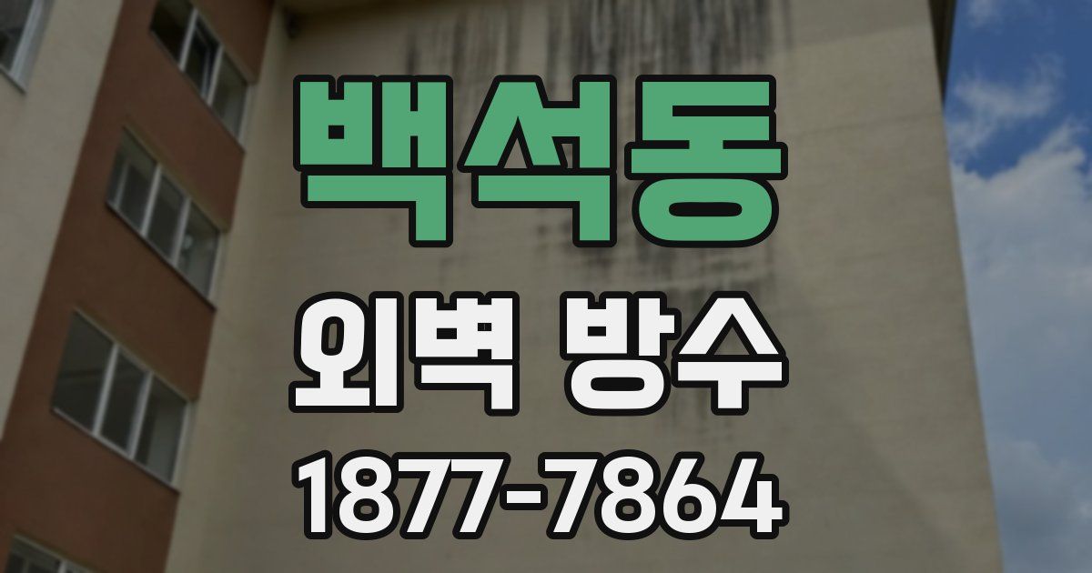 백석동 외벽 방수