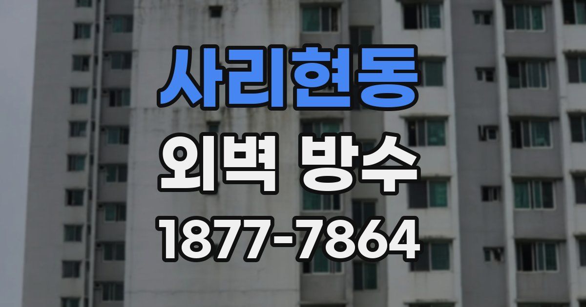 사리현동 외벽 방수