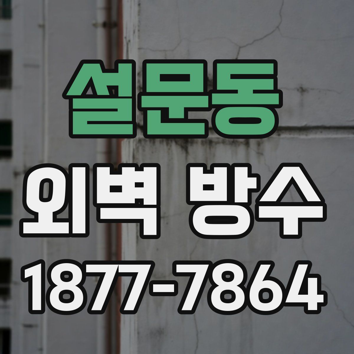 설문동 외벽 방수