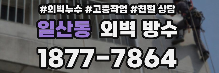 일산동 외벽 방수