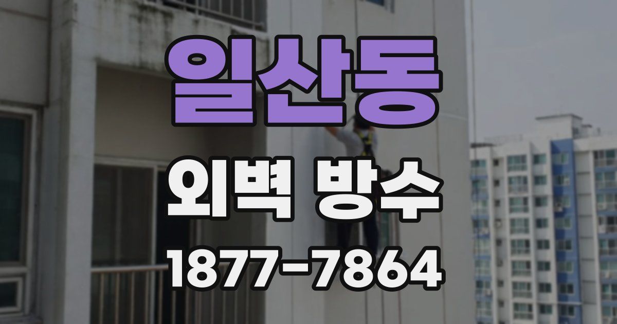 일산동 외벽 방수