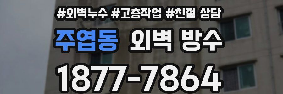 주엽동 외벽 방수