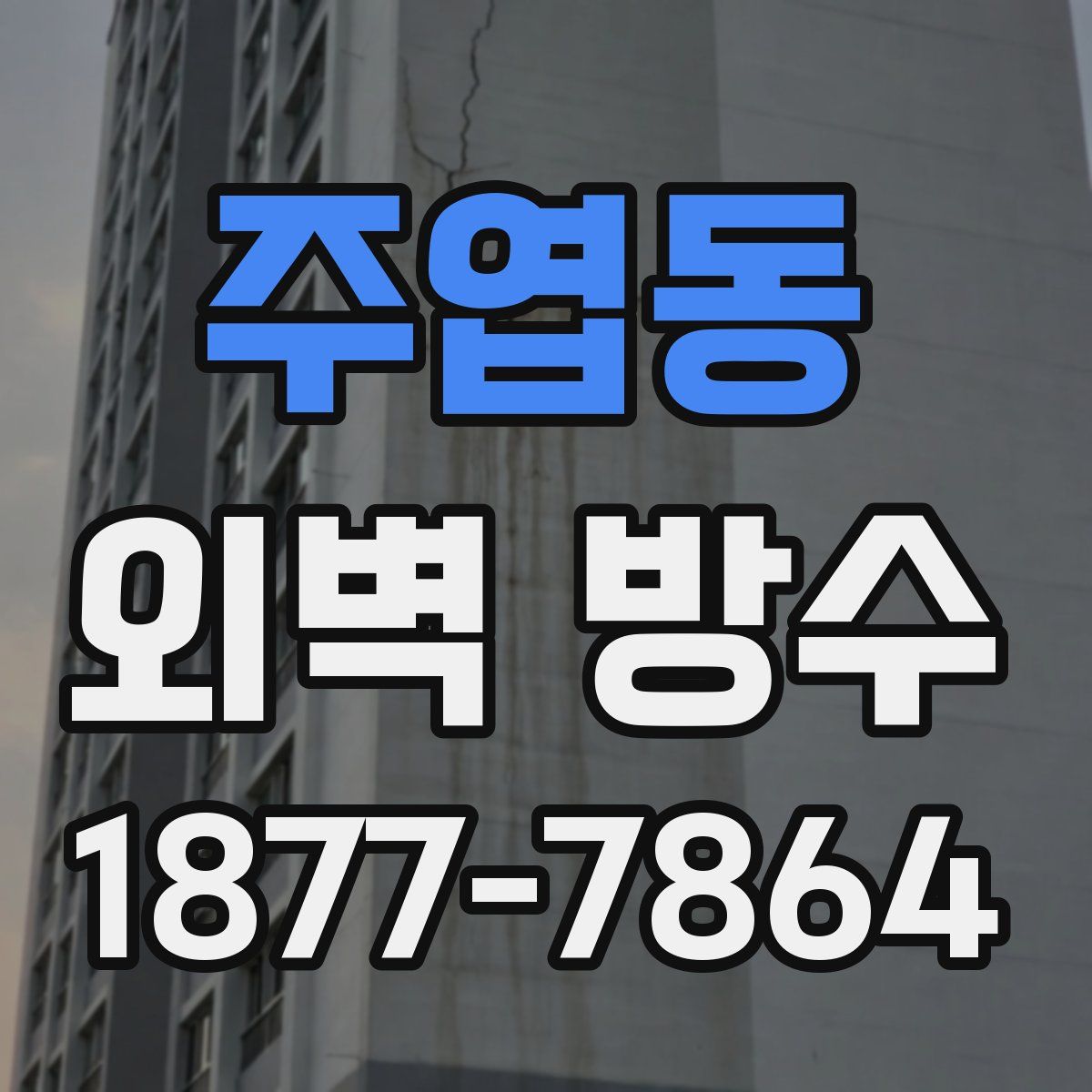 주엽동 외벽 방수