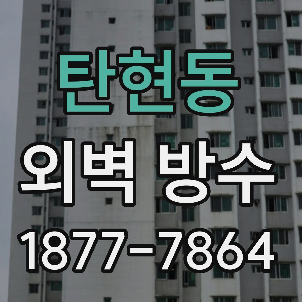 탄현동 외벽 방수