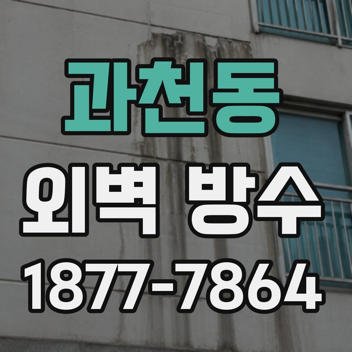 과천동 외벽 방수