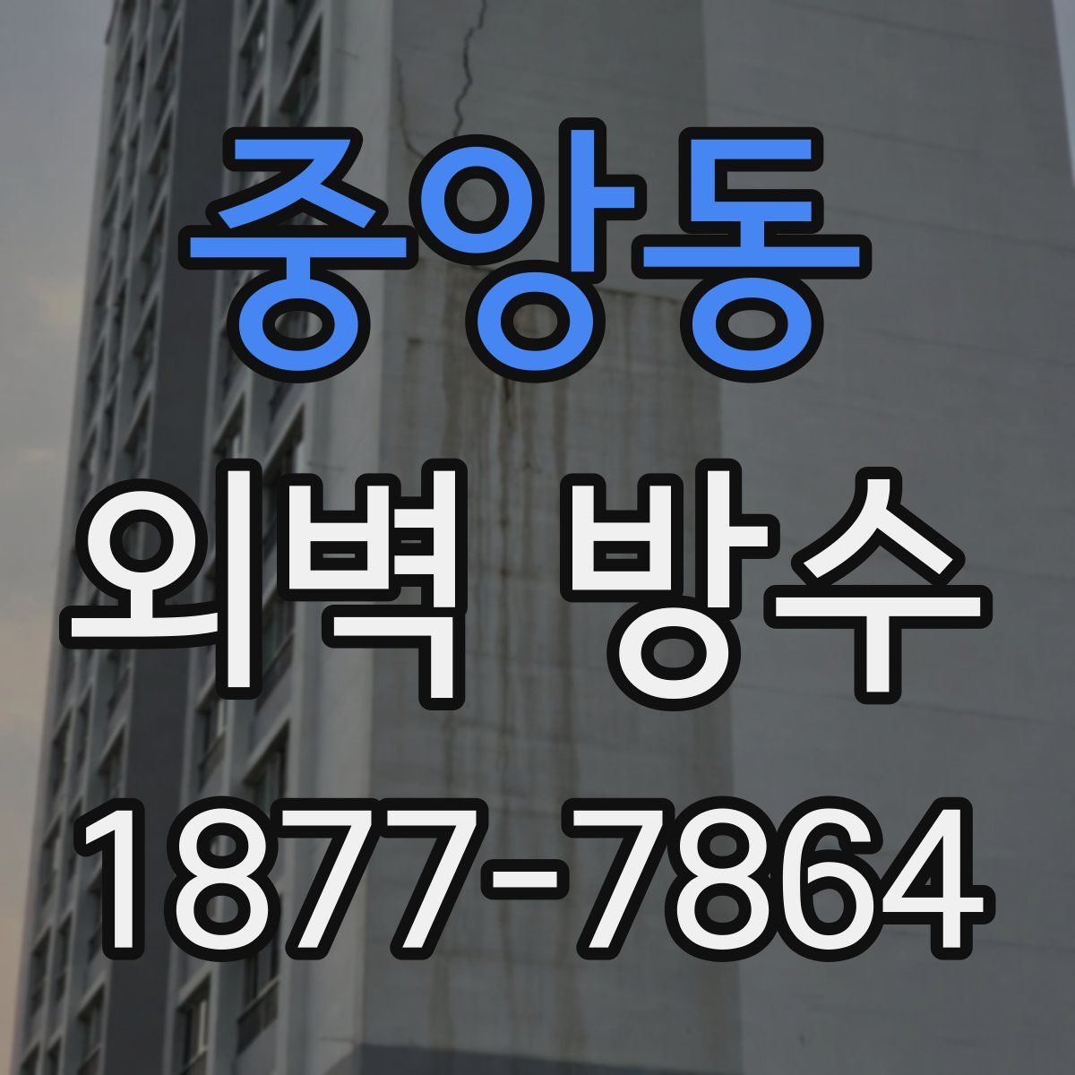 중앙동 외벽 방수