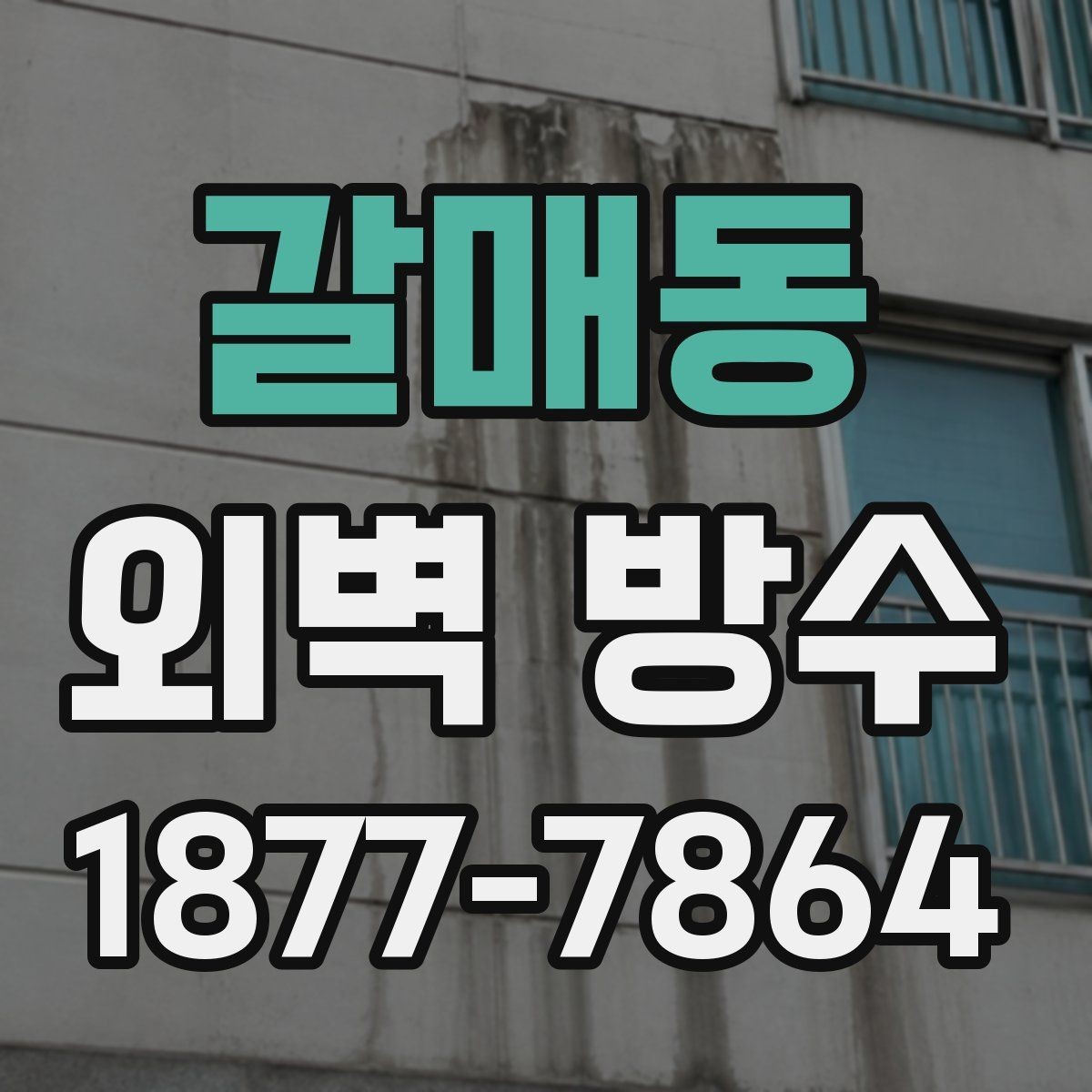 갈매동 외벽 방수 현장 점검 포인트 정리