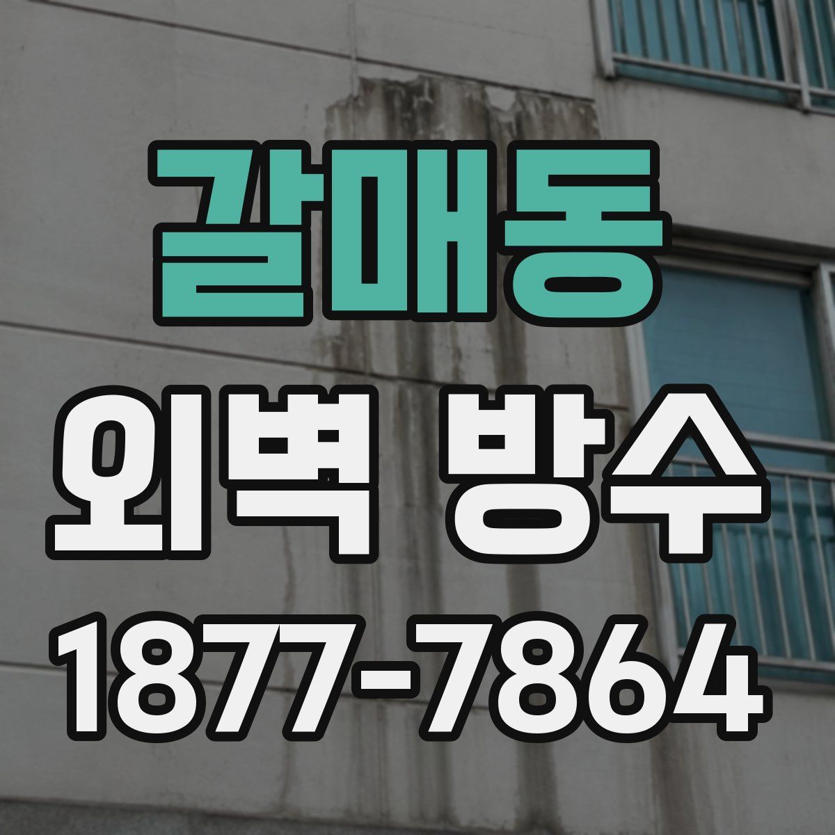 갈매동 외벽 방수