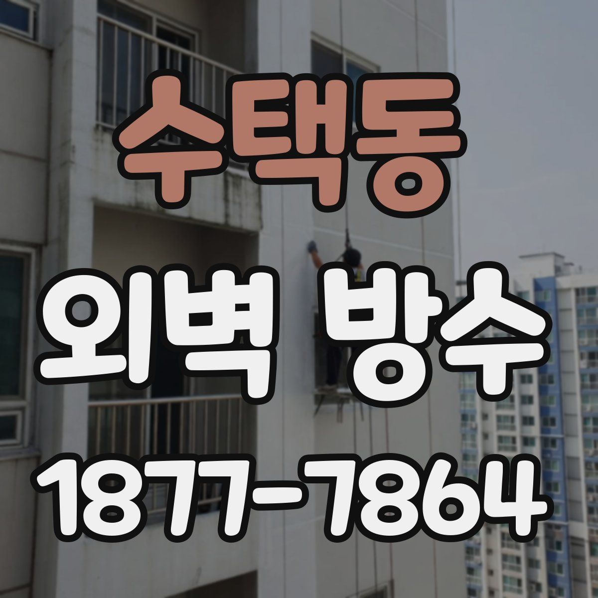수택동 외벽 방수