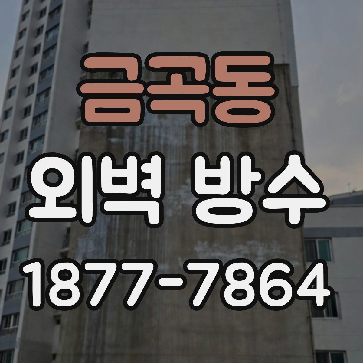 금곡동 외벽 방수 보수와 전체 시공의 차이