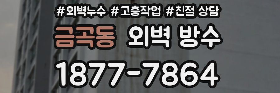 금곡동 외벽 방수