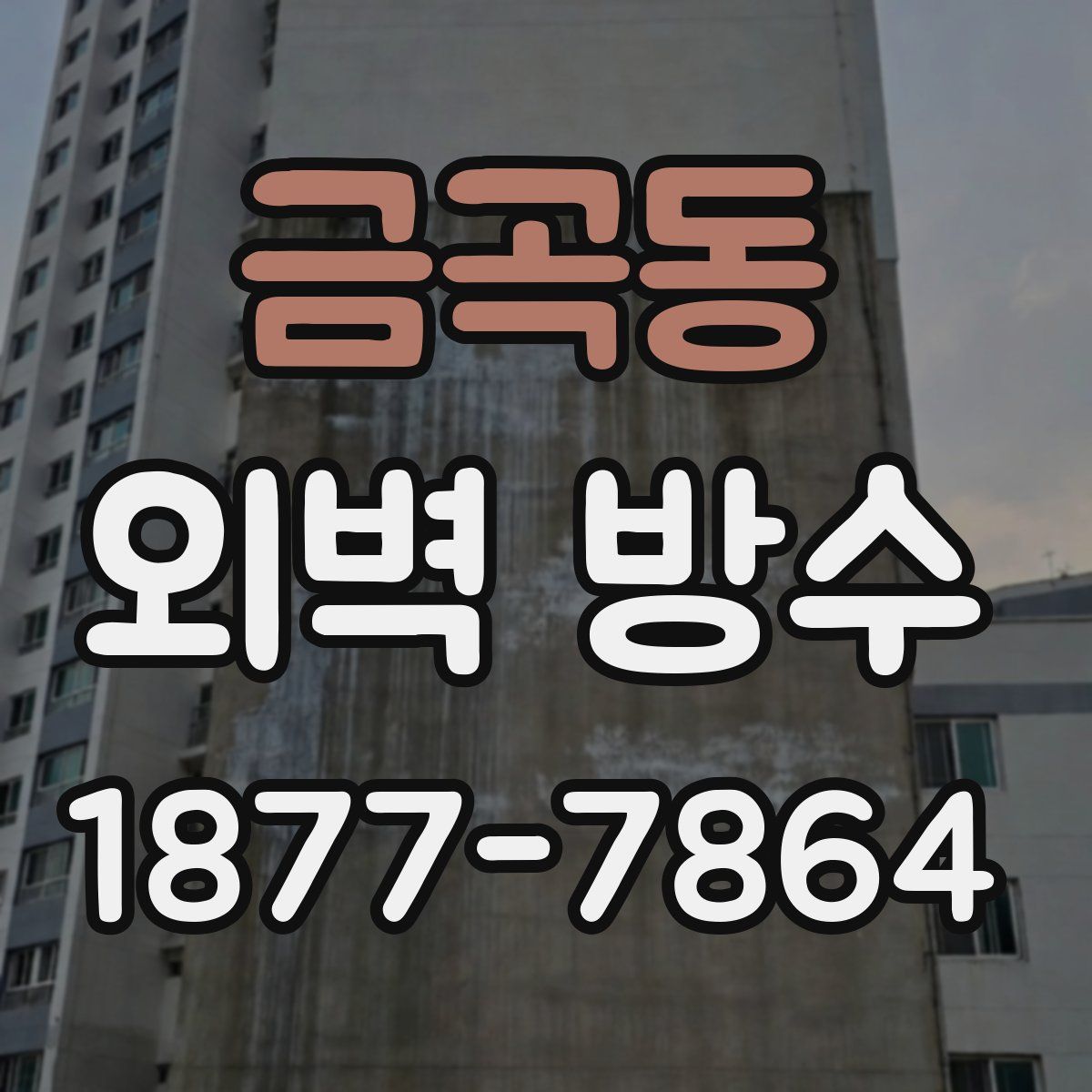 금곡동 외벽 방수