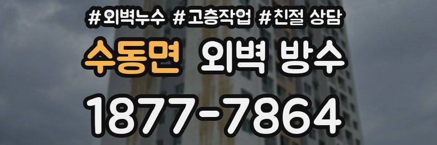 수동면 외벽 방수