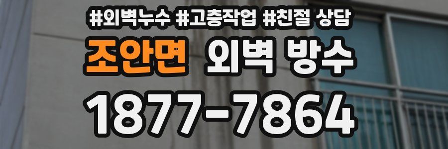조안면 외벽 방수