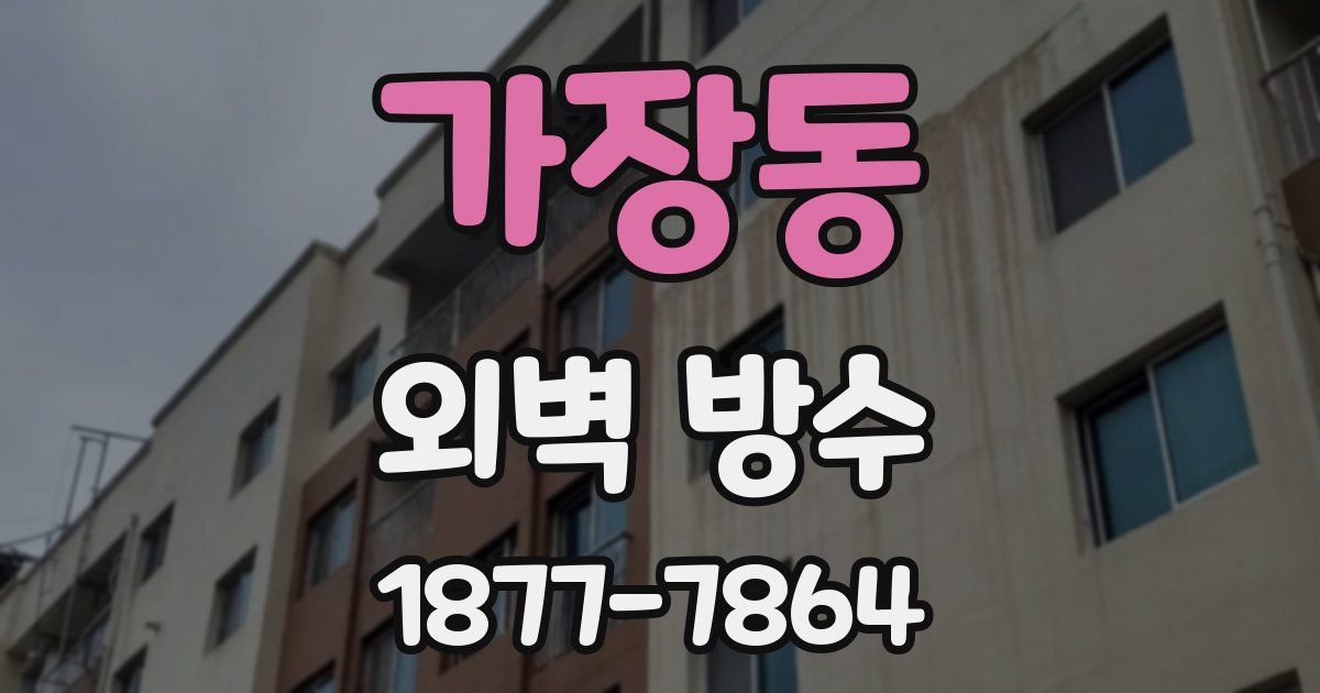 가장동 외벽 방수