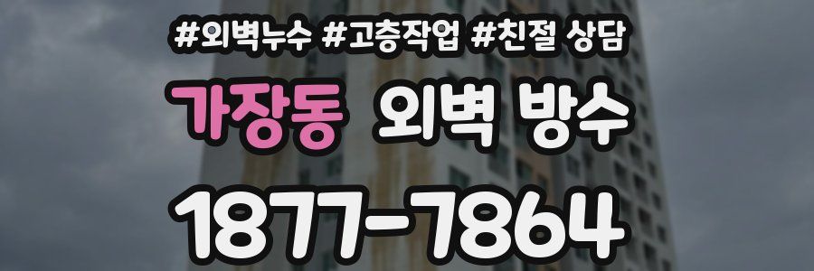 가장동 외벽 방수