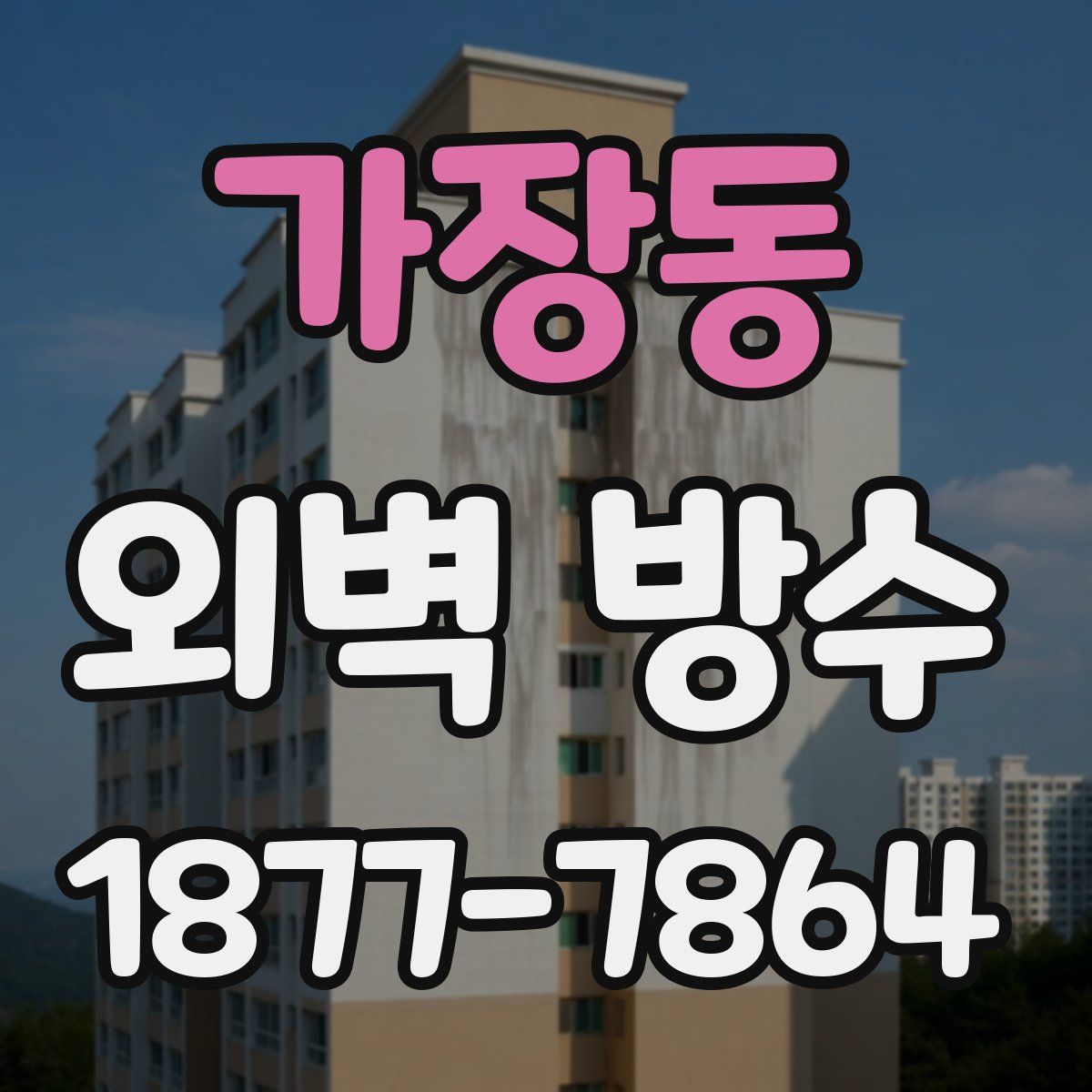 가장동 외벽 방수
