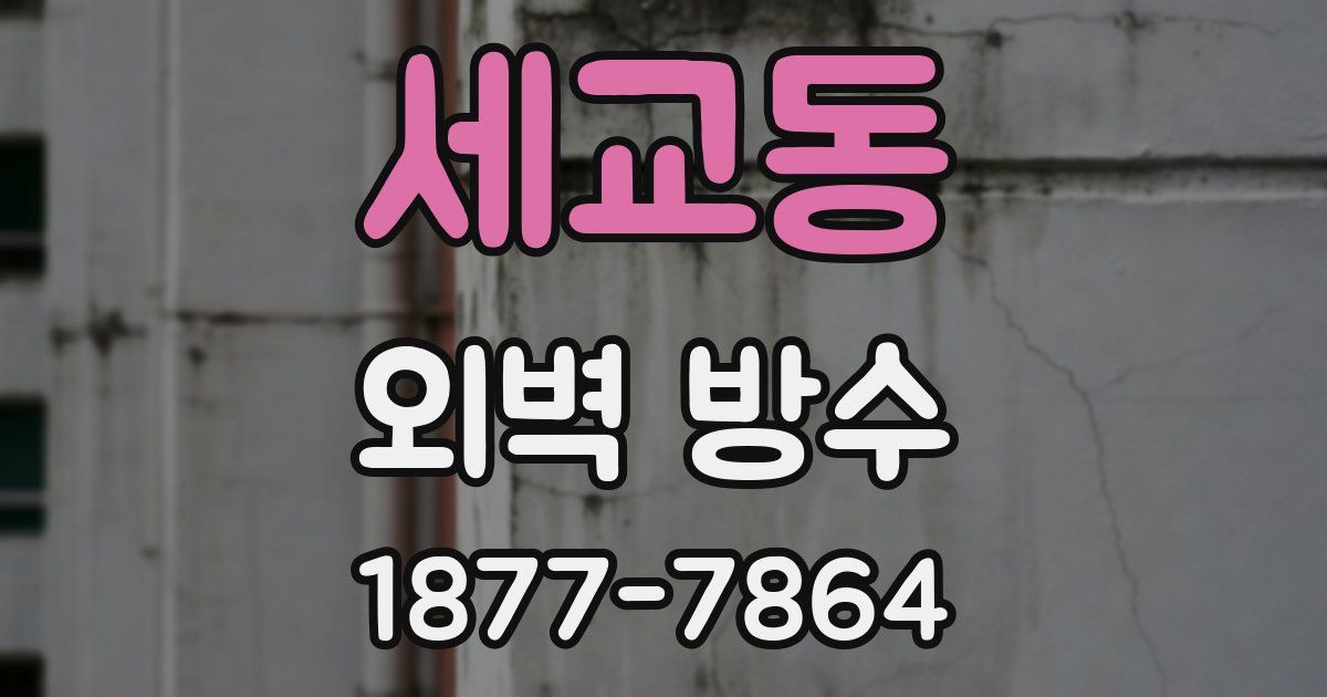 세교동 외벽 방수