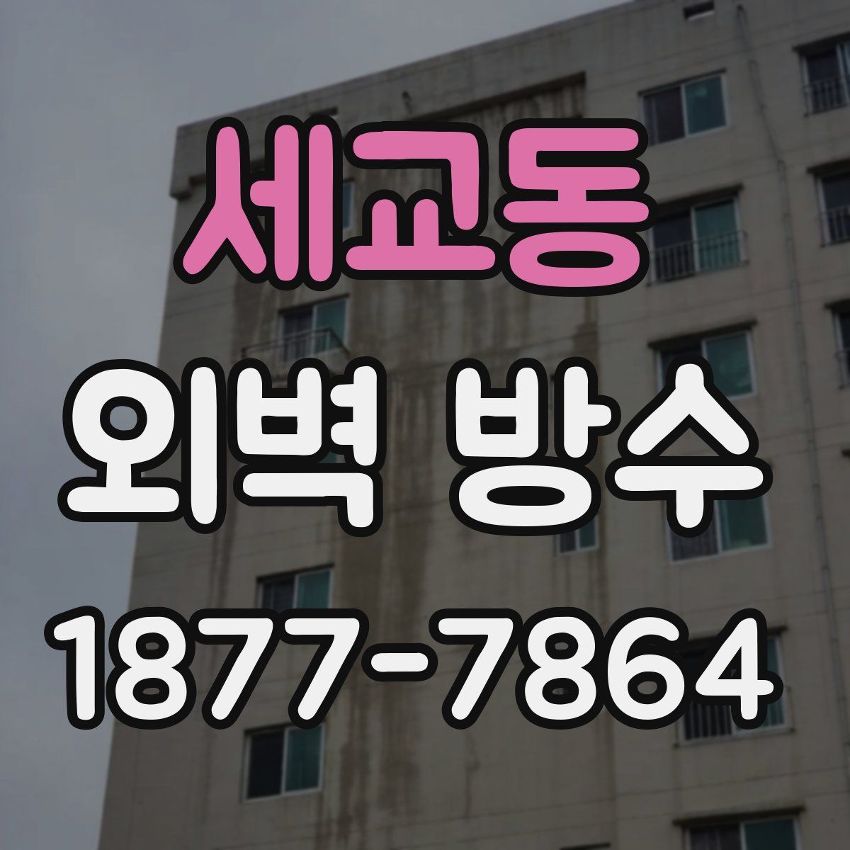 세교동 외벽 방수