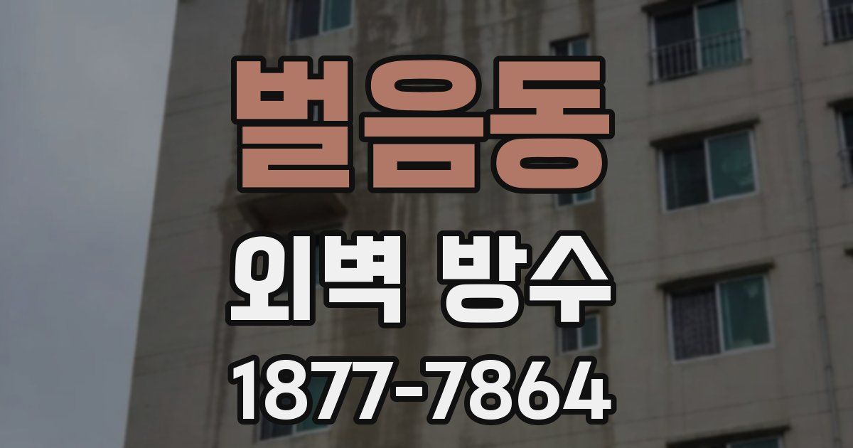 벌음동 외벽 방수